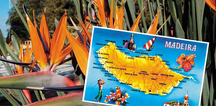 Карта о. Мадейра («Наука из первых рук» №5/6(85), 2019) 