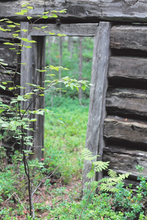 2. Барак на полуострове Киндо, экспедиция Международного Мемориала. Фото Натальи Барышниковой, 2015&nbsp;год («ТрВ» №24(268), 04.12.2018)