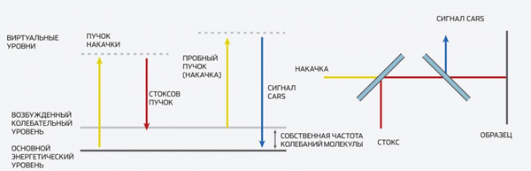Принцип действия CARS-микроскопии состоит в использовании когерентных пучков лазерного излучения — накачки и стоксова, которые должны точно попасть в резонанс с частотой собственных колебаний молекулы. В качестве пробного пучка может выступать пучок накачки. Сигнал на соответствующей частоте позволяет увидеть «нужные» молекулы