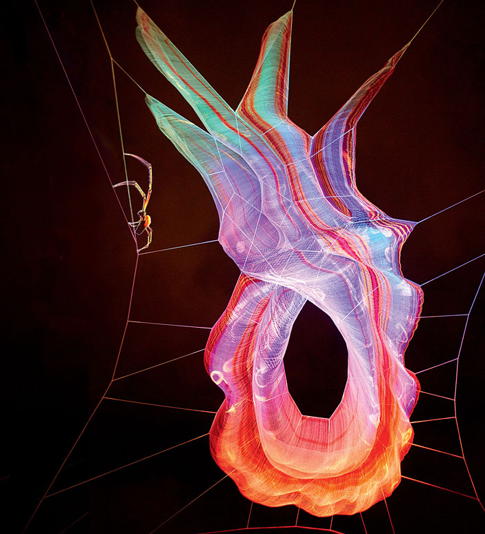 Паук, рисунок («Популярная механика» №11, 2017)