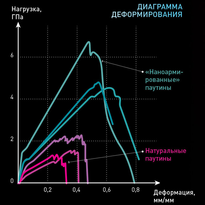 Диаграмма деформирования натуральных и «наноармированных» паутин («Популярная механика» №11, 2017)