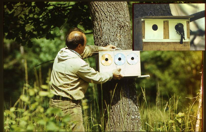 Зрение человека, животных и машин. Жизнь и работы Вадима Максимова