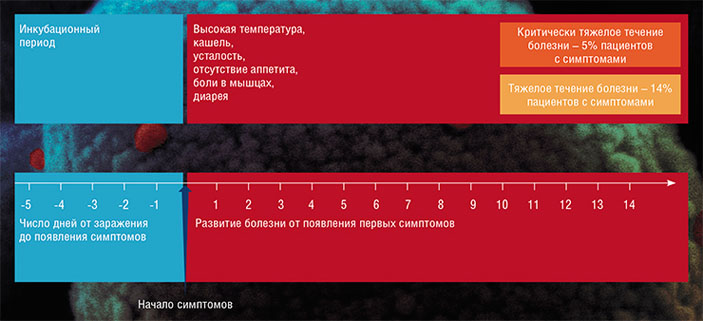 От момента заражения до проявления тяжелой симптоматики проходит около двух недель («Наука из первых рук» № 3(88), 2020)