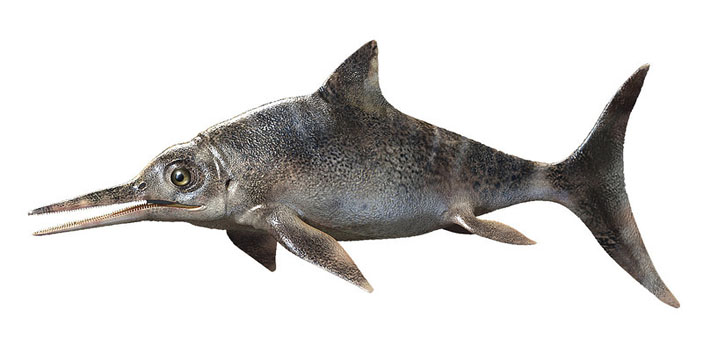 Ophthalmosaurus undorensis («Популярная механика» №10, 2018) 