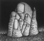 Н. Кращин. Научные направления