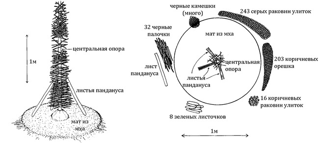 Схема шалаша бурого садовника