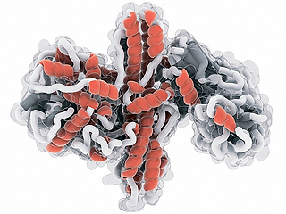 Ботулотоксин