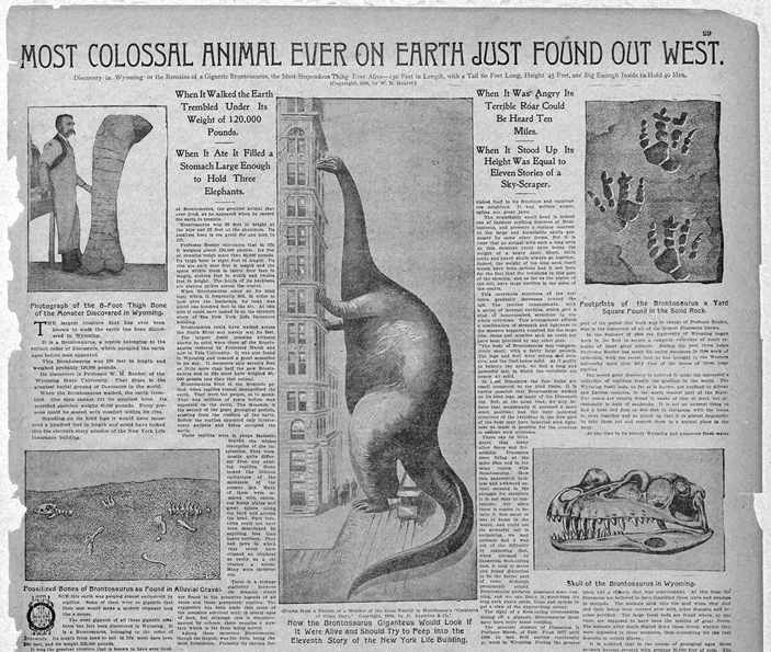The New York Journal and Advertiser