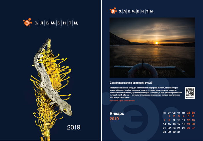Календарь на 2019 год (январь)