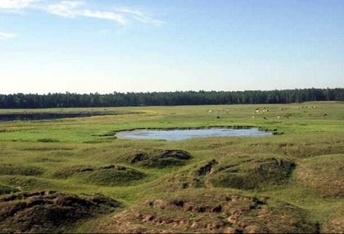 Алас