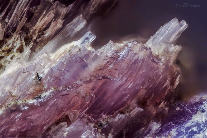 Чароит с пектолитом. Месторождение Сиреневый камень, Мурунский массив, Якутия