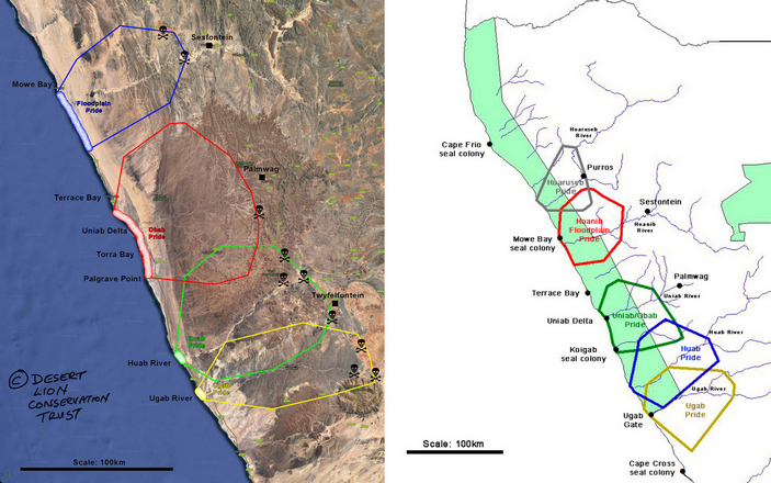 Участки обитания львов Берега Скелетов