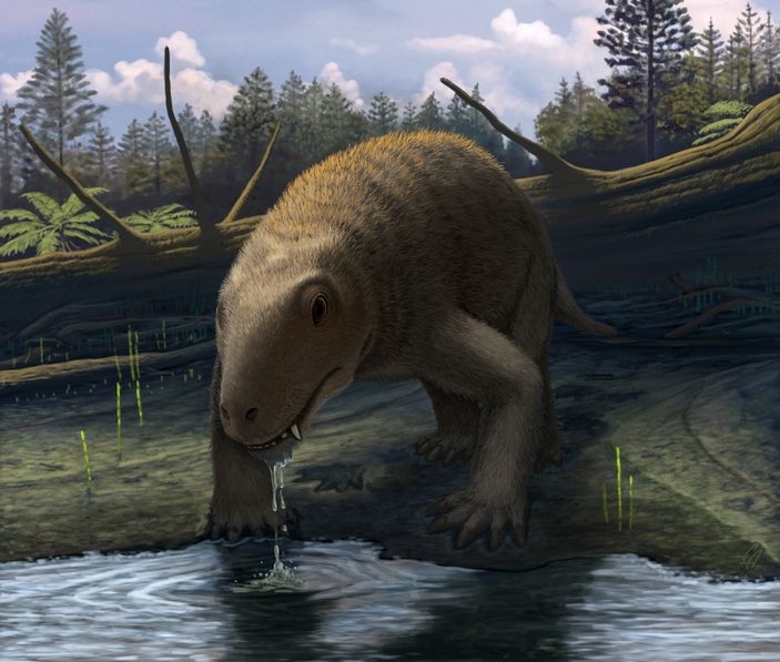 Dinosaurus murchisoni