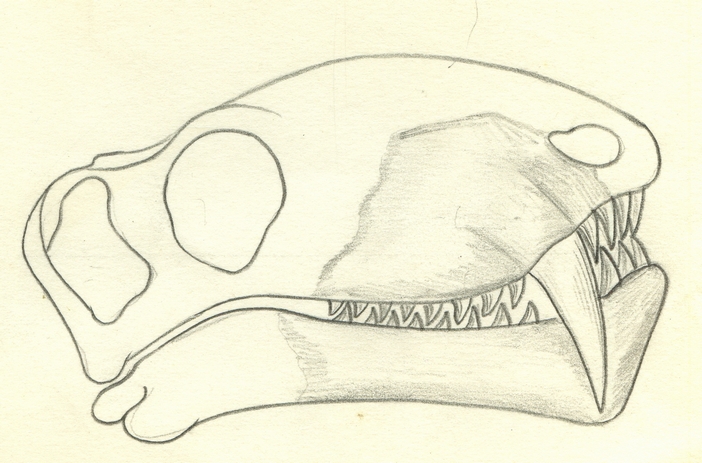 Dinosaurus murchisoni