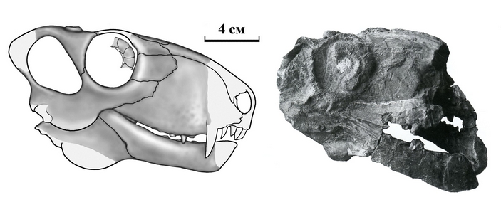 Dinosaurus murchisoni