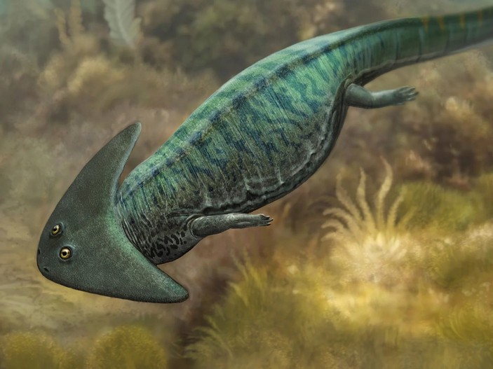 Диплокаулус