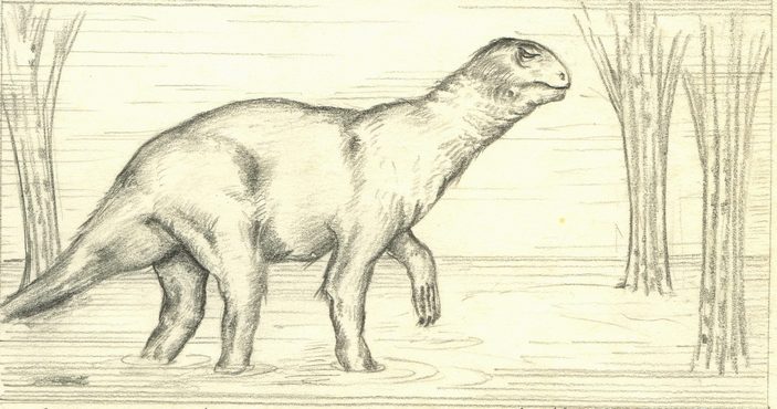 Реконструкция суминии