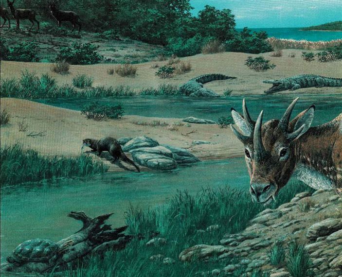 Фауна Гаргано