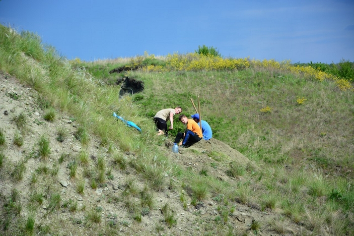 Раскопки остатков морской фауны