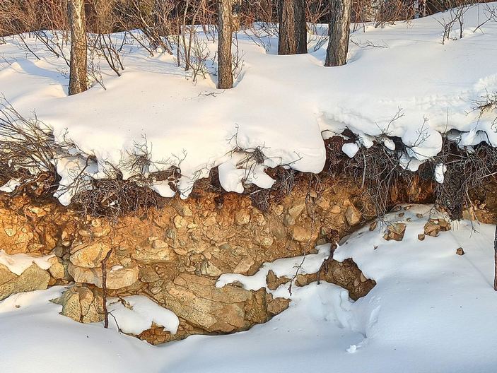 Бурозем у Усть-Баргузина