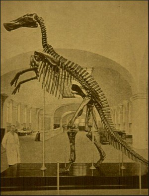 Mandschurosaurus amurensis