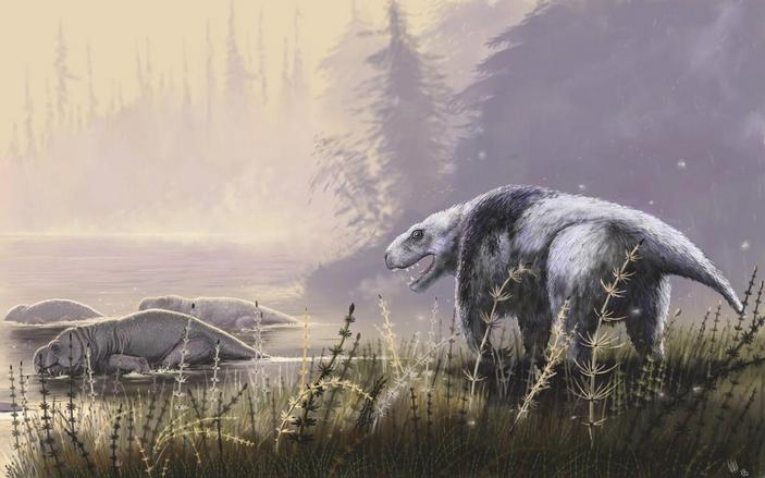 Мегавайтсия охотится