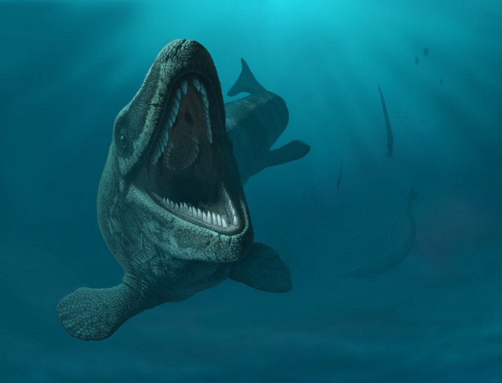 Мозазавры Поволжья