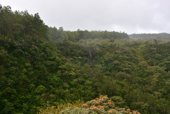 Нацпарк Блэк-Ривер-Горджес