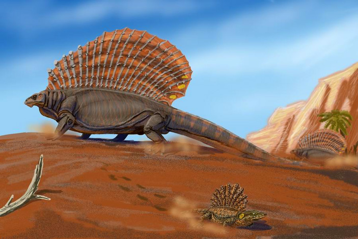 Эдафозавр Edaphosaurus pogonias (большой, на заднем плане) и платигистрикс (справа, на переднем плане)