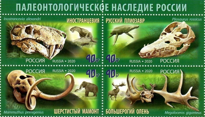Русские палеомарки