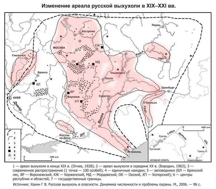 Изменение ареала русской выхухоли