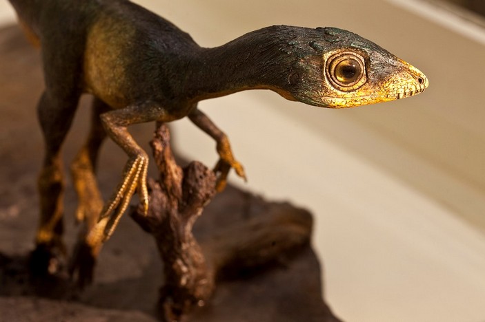 Scipionyx samniticus