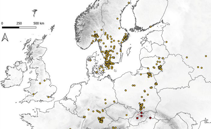 Карта находок золотарника Нидередера
