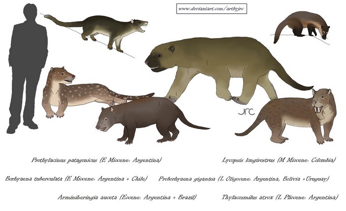 Сравнение размеров некоторых видов спарассодонтов
