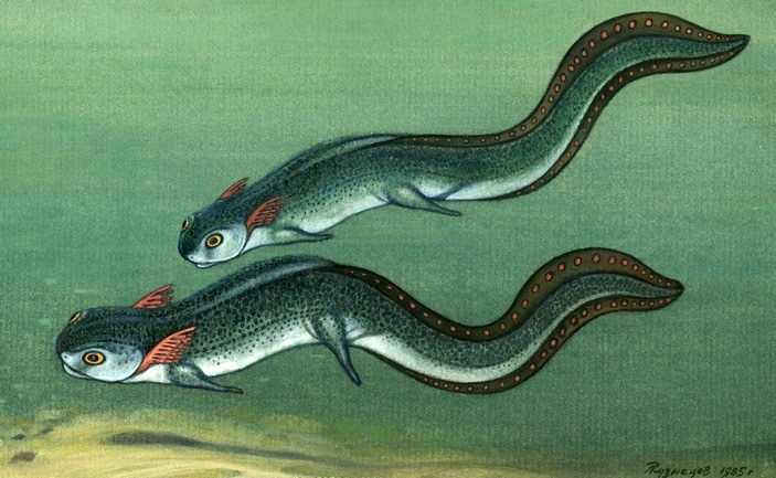 Тупилакозавры