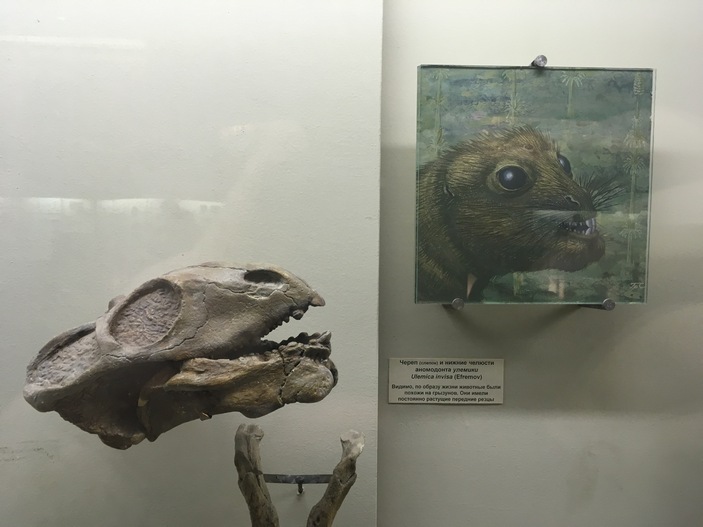 Улемика