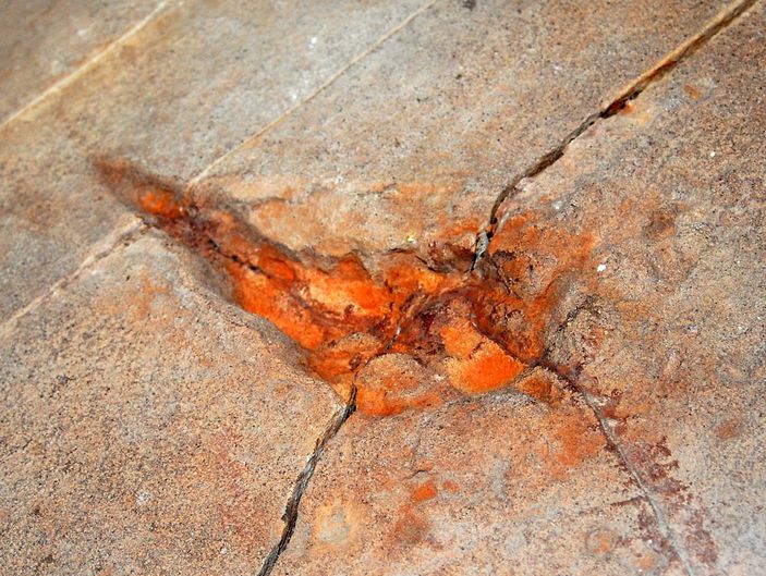 След Sarmientichnus scagliai