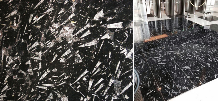 Девонский мрамор с ортоцеридами