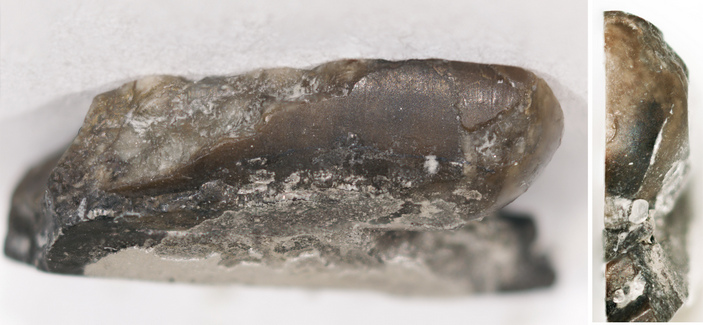 Журавлевия сзади с с торца