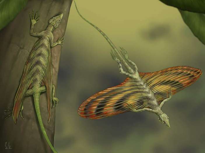 Летающие целюрозавравусы