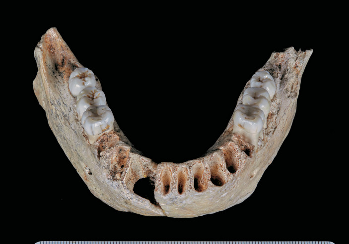 Челюсть человека из пещеры Сима-де-лос-Уэсос