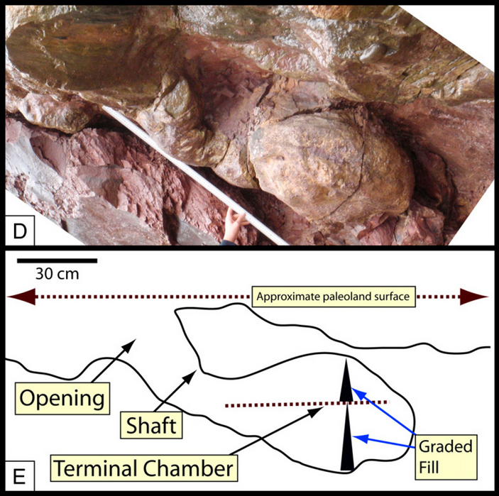 Слепок норы из Пенсильвании