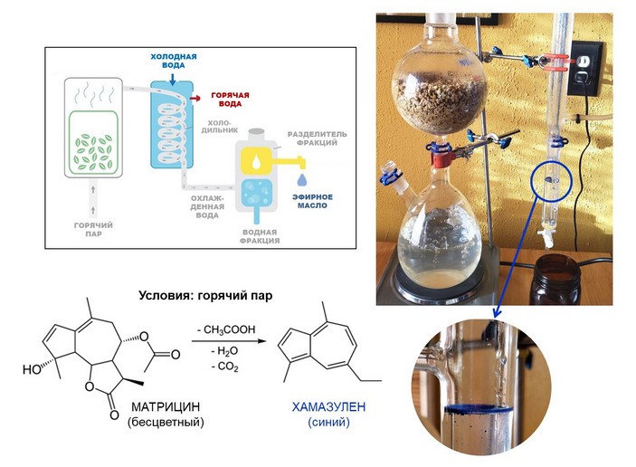 Получение эфирного масла