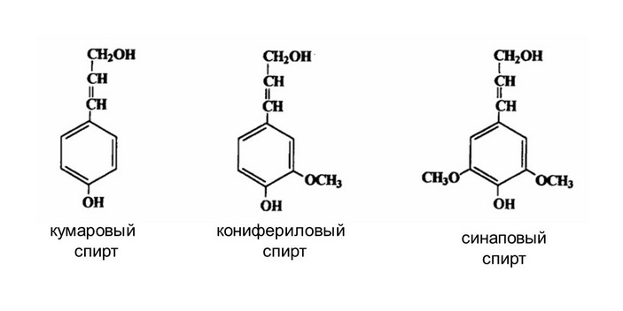 Спирты лигнина
