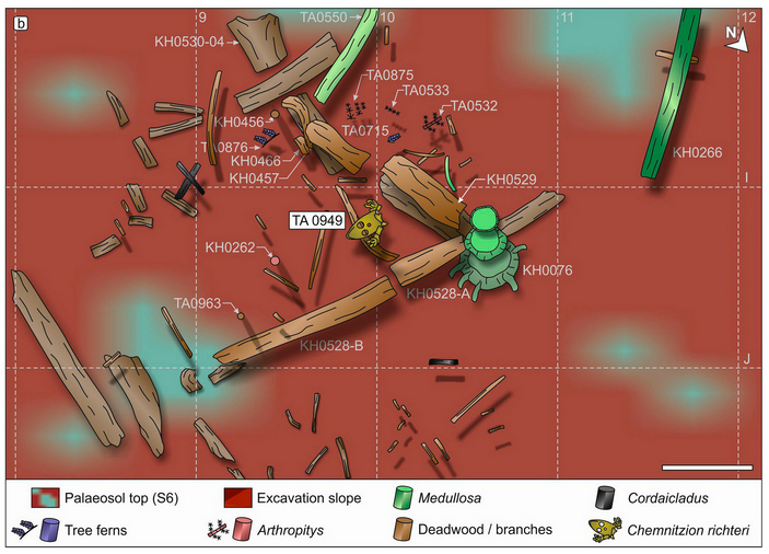 План местонахождения 