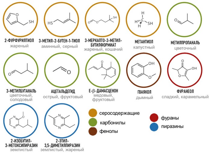 Летучие вещества кофе