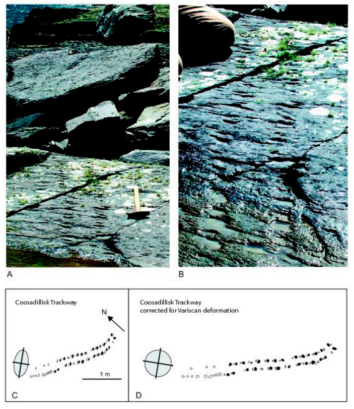 Следы в Кусадиллиске