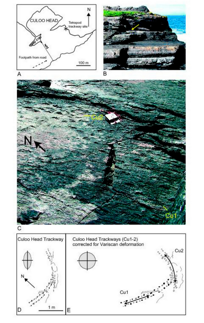 Следы в Кулу-Хэд