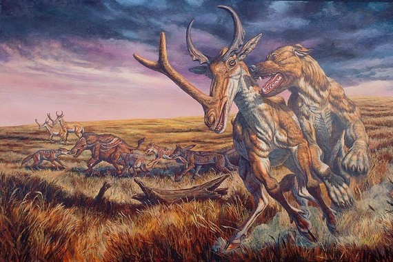 Гигантский пес эпицион