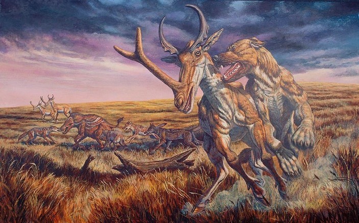 Охота эпициона